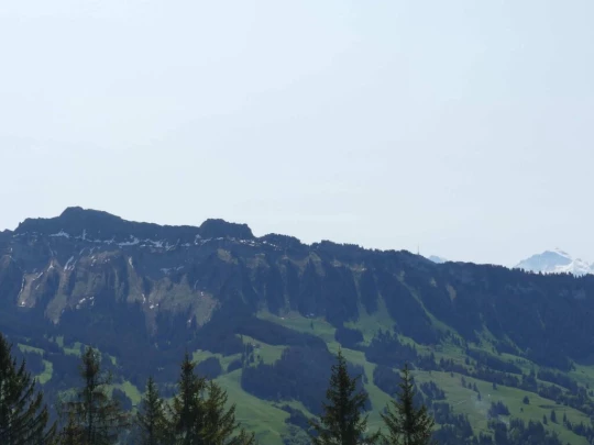 heiligenschwendi-oberhofen-125