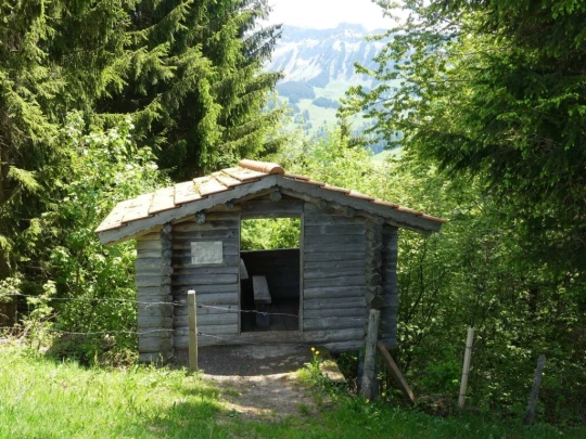 heiligenschwendi-oberhofen-171