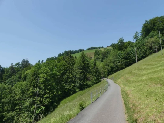 heiligenschwendi-oberhofen-197