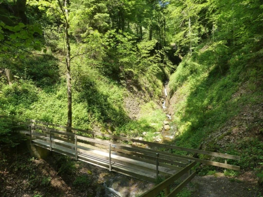 heiligenschwendi-oberhofen-198