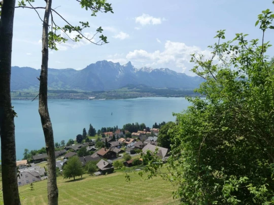 heiligenschwendi-oberhofen-219