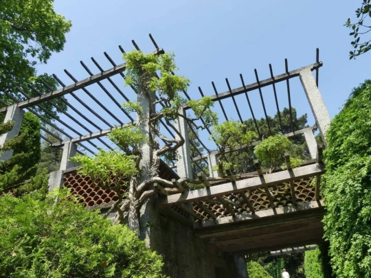 heiligenschwendi-oberhofen-232