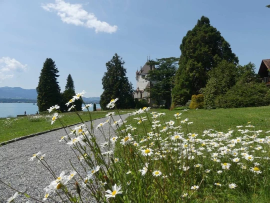 heiligenschwendi-oberhofen-236