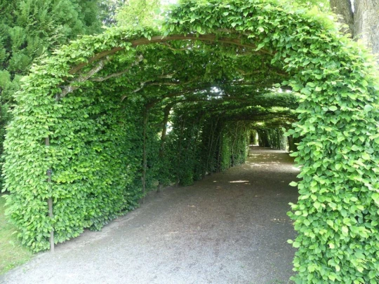 heiligenschwendi-oberhofen-240