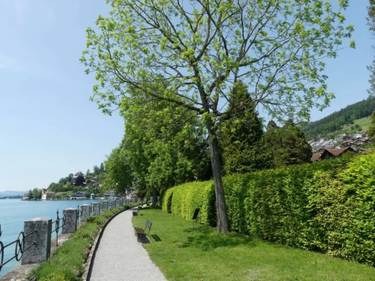 heiligenschwendi-oberhofen-245
