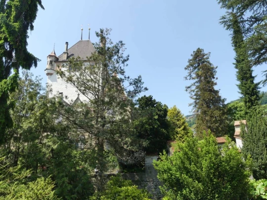 heiligenschwendi-oberhofen-250