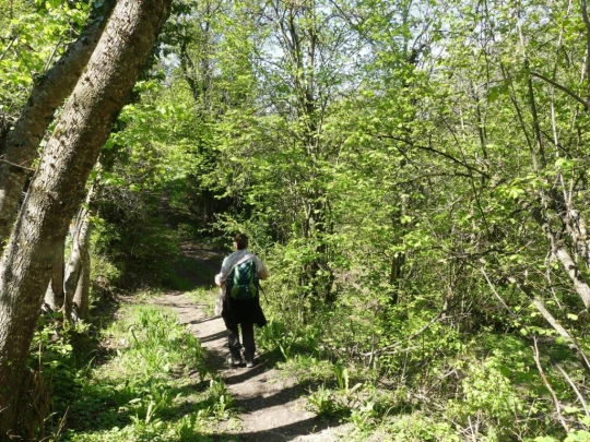 icogne-st-gerard-clavau-sion-101