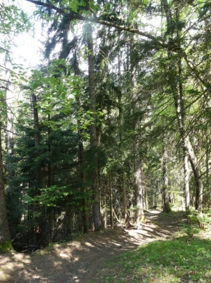 icogne-st-gerard-clavau-sion-109