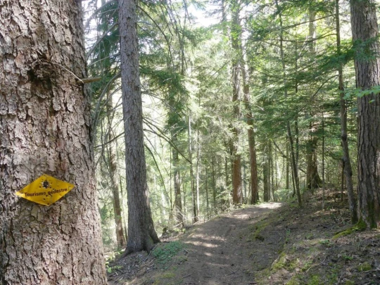 icogne-st-gerard-clavau-sion-110