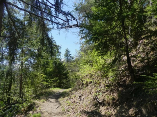 icogne-st-gerard-clavau-sion-130