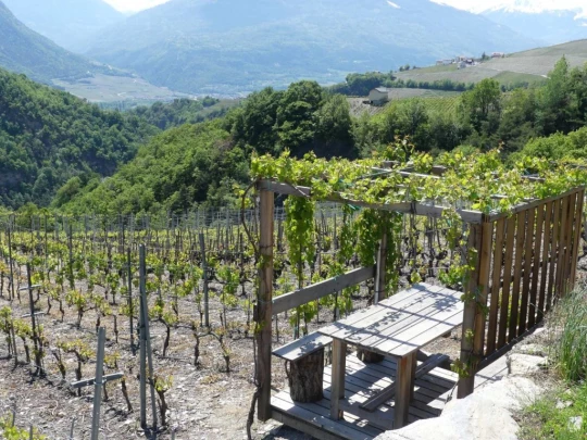 icogne-st-gerard-clavau-sion-164