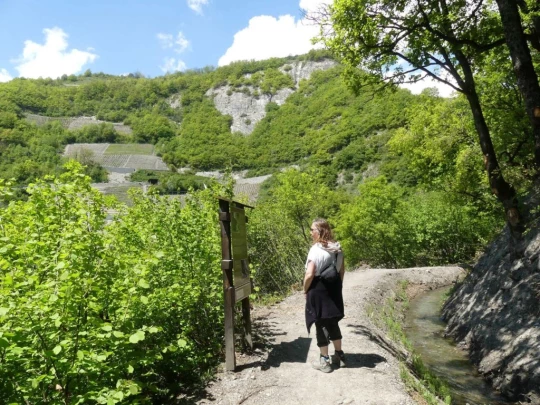 icogne-st-gerard-clavau-sion-171