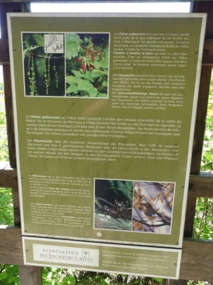 icogne-st-gerard-clavau-sion-172