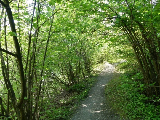 icogne-st-gerard-clavau-sion-176