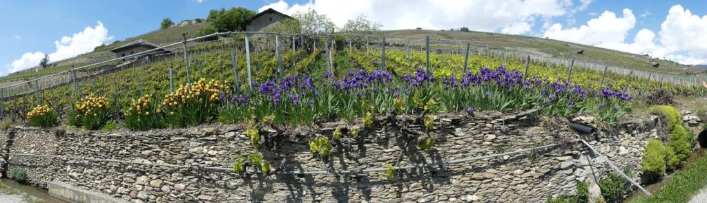 icogne-st-gerard-clavau-sion-192