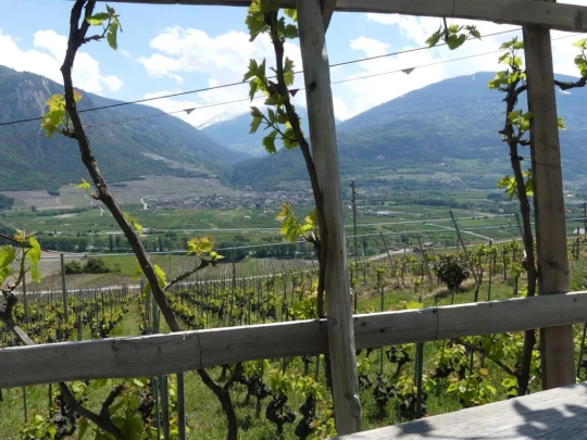 icogne-st-gerard-clavau-sion-197