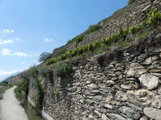 icogne-st-gerard-clavau-sion-211