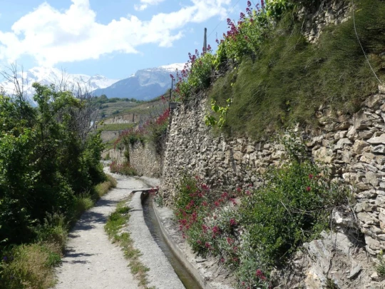 icogne-st-gerard-clavau-sion-218