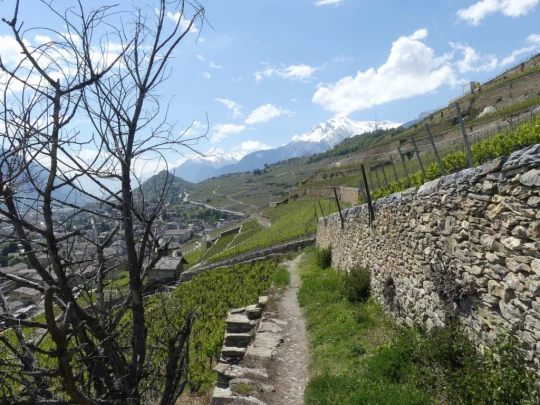 icogne-st-gerard-clavau-sion-221