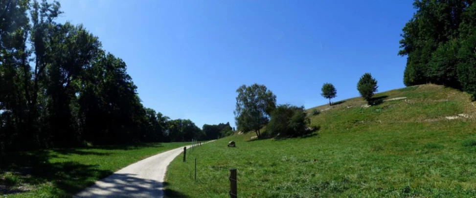 ile-st-pierre-cerlier-120
