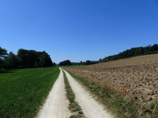 ile-st-pierre-cerlier-122