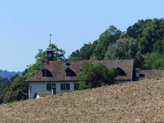 ile-st-pierre-cerlier-123