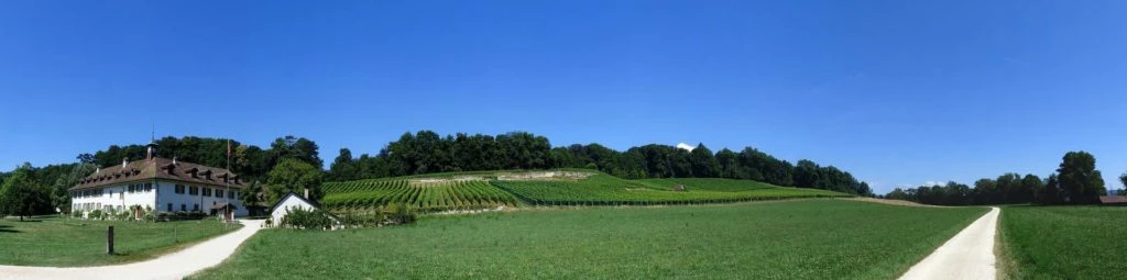 ile-st-pierre-cerlier-125