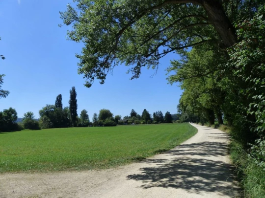 ile-st-pierre-cerlier-143