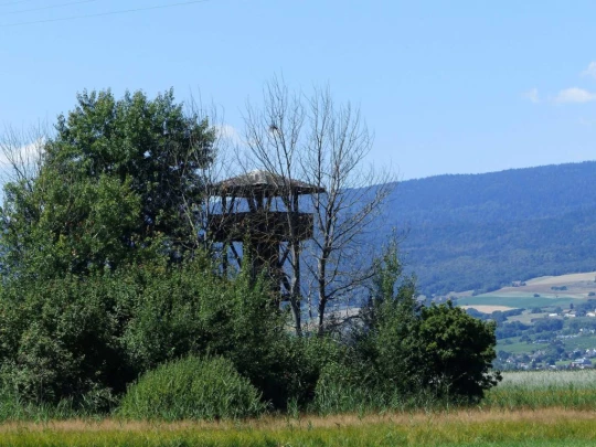 ile-st-pierre-cerlier-144