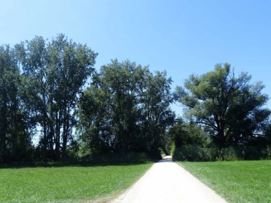 ile-st-pierre-cerlier-145