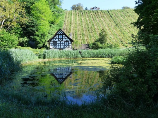 Karthause Ittingen Thurgovie