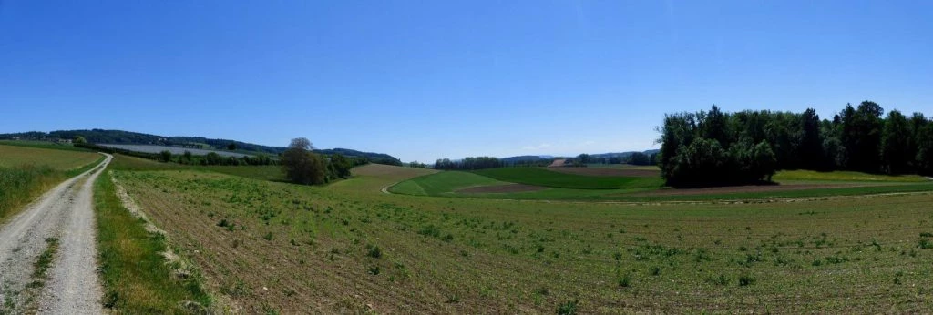 ittingen-stein-am-rhein-257