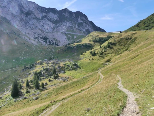 jaman-les-sciernes-d-albeuve-106