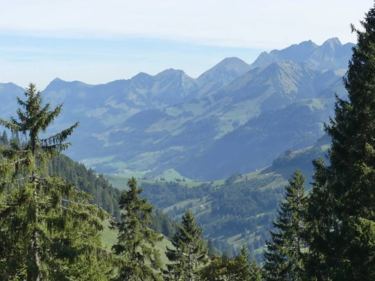 jaman-les-sciernes-d-albeuve-122