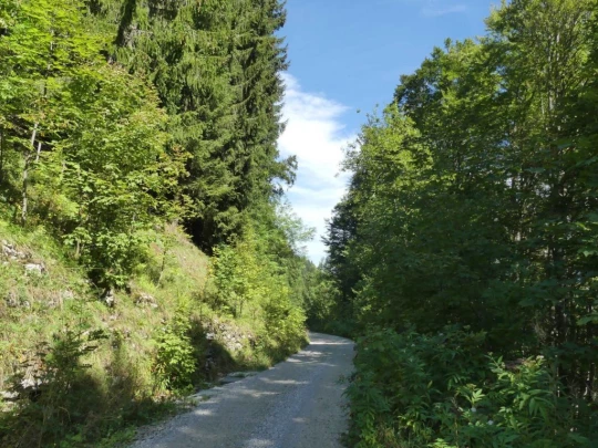 jaman-les-sciernes-d-albeuve-145