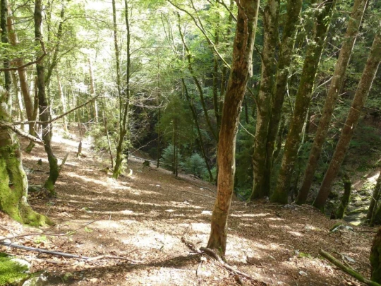 jaman-les-sciernes-d-albeuve-163