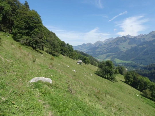 jaman-les-sciernes-d-albeuve-167