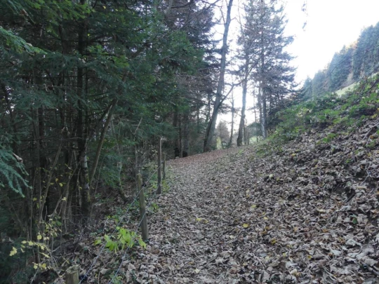 jor-col-de-soladier-plan-de-chatel-sonloup-105