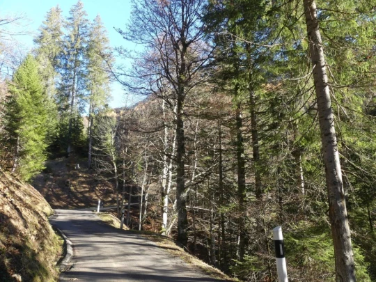 jor-col-de-soladier-plan-de-chatel-sonloup-113