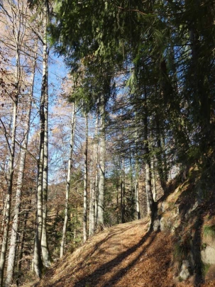 jor-col-de-soladier-plan-de-chatel-sonloup-125