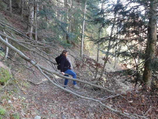 jor-col-de-soladier-plan-de-chatel-sonloup-126