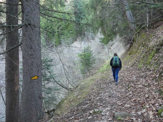 jor-col-de-soladier-plan-de-chatel-sonloup-128