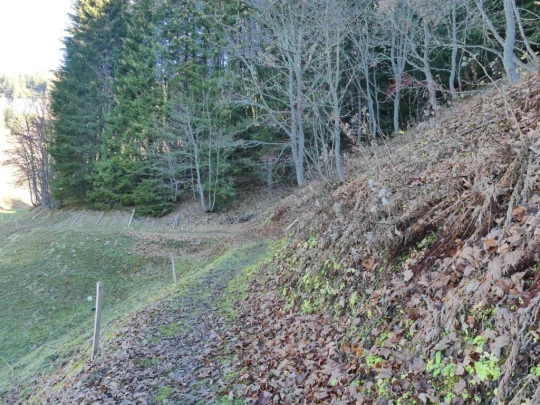 jor-col-de-soladier-plan-de-chatel-sonloup-135