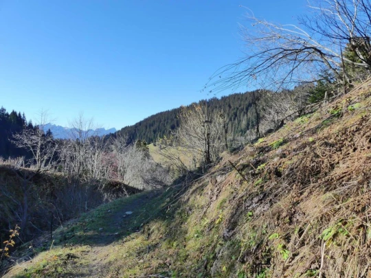 jor-col-de-soladier-plan-de-chatel-sonloup-139