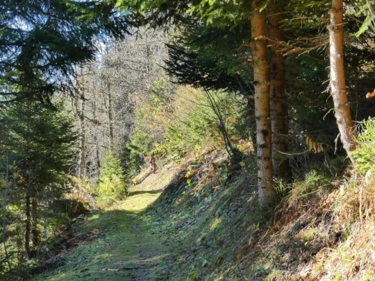 jor-col-de-soladier-plan-de-chatel-sonloup-148