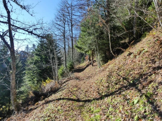 jor-col-de-soladier-plan-de-chatel-sonloup-149