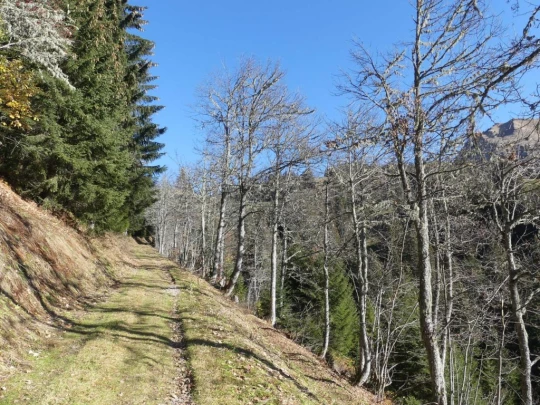 jor-col-de-soladier-plan-de-chatel-sonloup-151