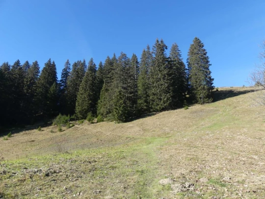 jor-col-de-soladier-plan-de-chatel-sonloup-161