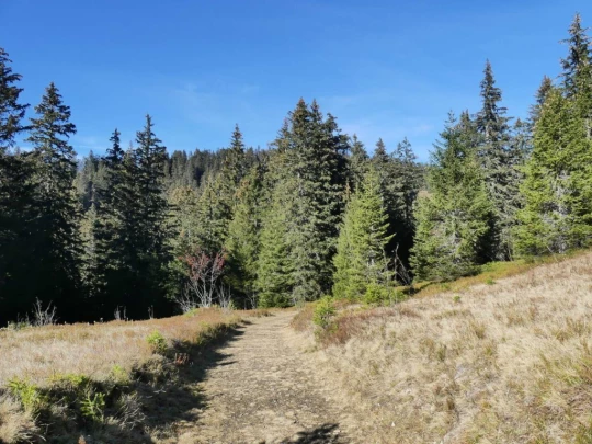 jor-col-de-soladier-plan-de-chatel-sonloup-165