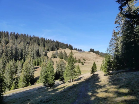 jor-col-de-soladier-plan-de-chatel-sonloup-166